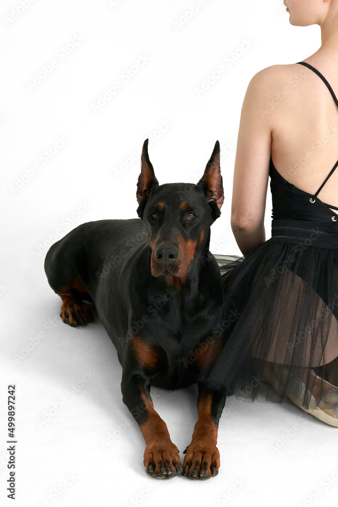 Ballerina and her Doberman on a white background.