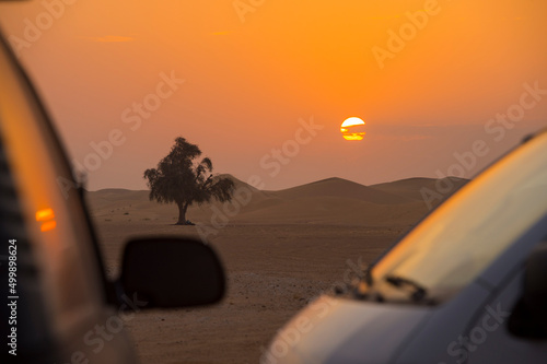 gentle dawn in the desert with a tree in the distance and car silhouettes in the foreground 