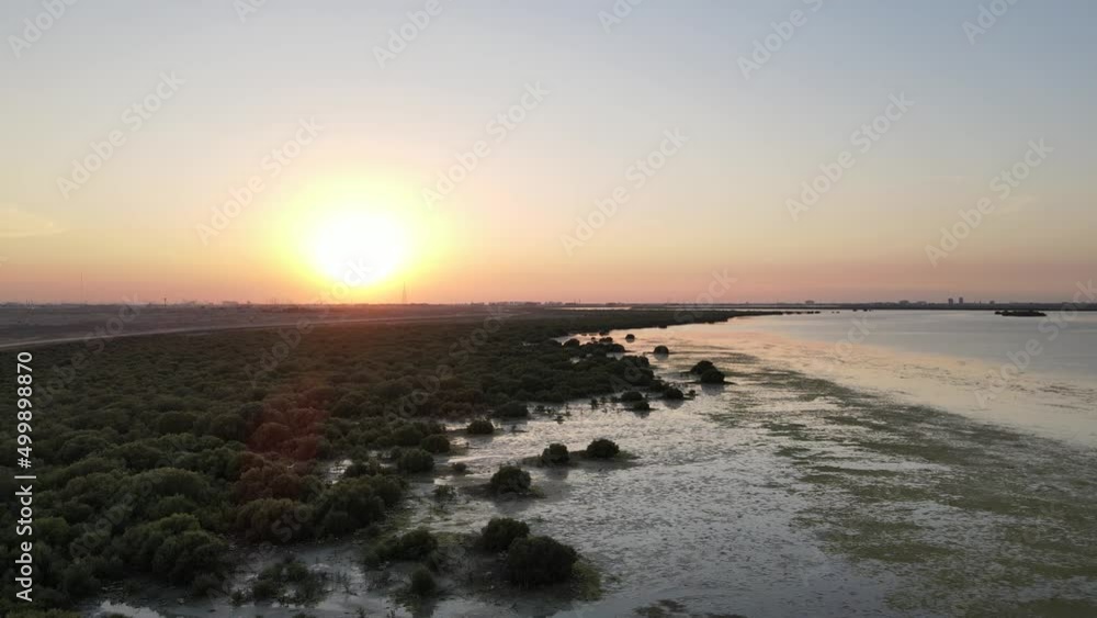 Aerial view of mangroves in the seaside of United Arab Emirates in Umm al Quwain Aerial view of mangroves in the seaside of United Arab Emirates in Umm al Quwain