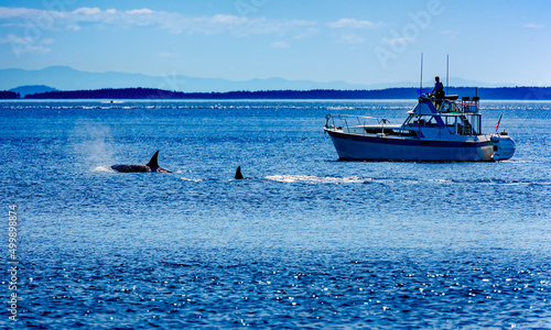 orca and boat in ocean photo