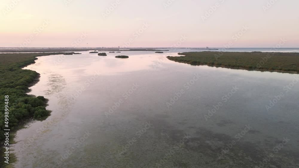 Aerial view of mangroves in the seaside of United Arab Emirates in Umm al Quwain Aerial view of mangroves in the seaside of United Arab Emirates in Umm al Quwain