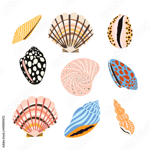 Sea shells, fossils and mollusks object set. Summer beach hand-drawn seaside vector print. Fashion bright multicolored illustration. Seashore elements design