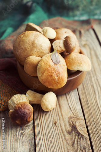 Fresh wild porcini mushrooms in a round bowl on a wooden board