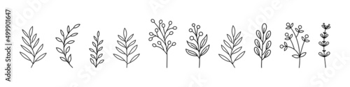 Carta da parati Set of botanical line art floral leaves, plants, branches