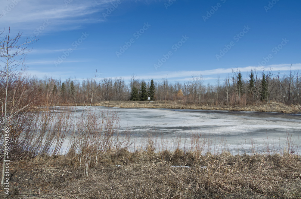 Pylypow Wetlands thawing in the Spring