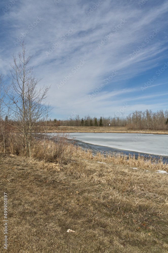 Pylypow Wetlands thawing in the Spring