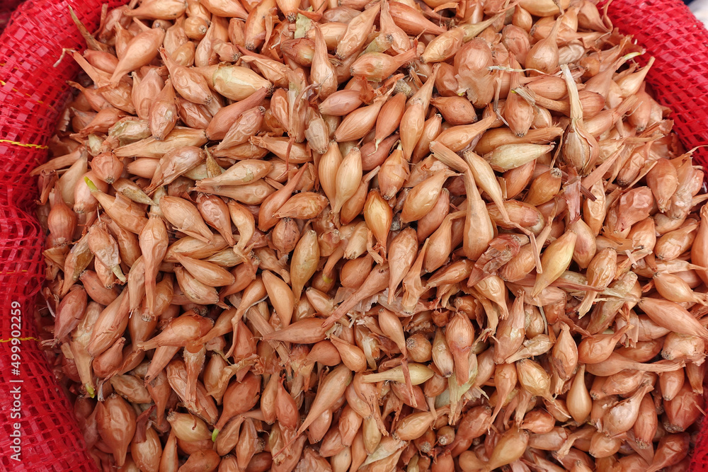 Unpackaged shallot bulbs sold in cloth bags at seed shops, shallot seeds for planting in the garden, Unpackaged shallot bulbs sold in cloth bags at seed shops, shallot seeds for planting in the garden,