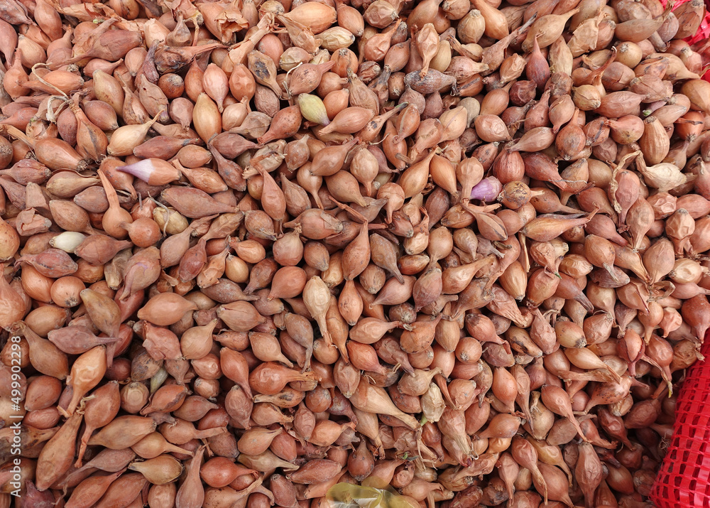 Unpackaged shallot onions sold in cloth bags, shallot seeds for planting in the garden, Unpackaged shallot onions sold in cloth bags, shallot seeds for planting in the garden,