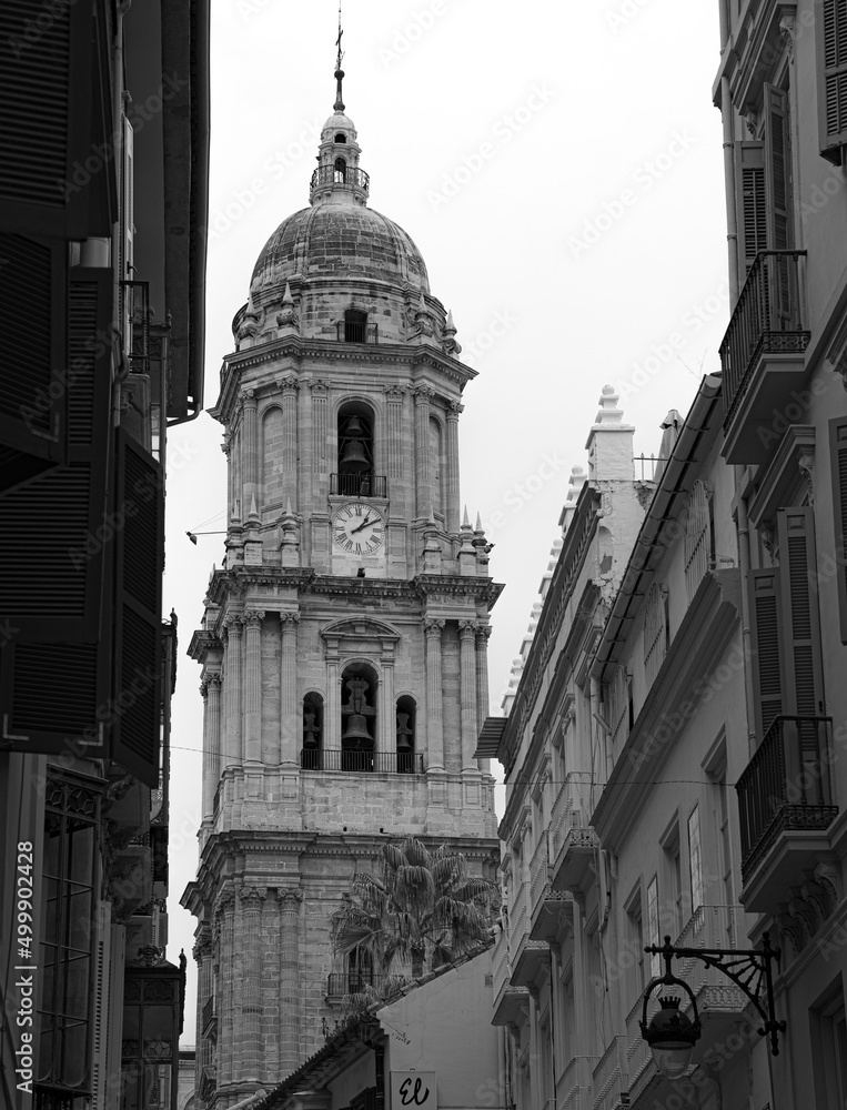 Tower of the Málaga cathedral in black and white (Málaga, Spain)