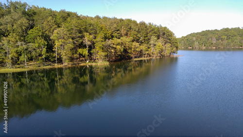 Trees reflected in a lake