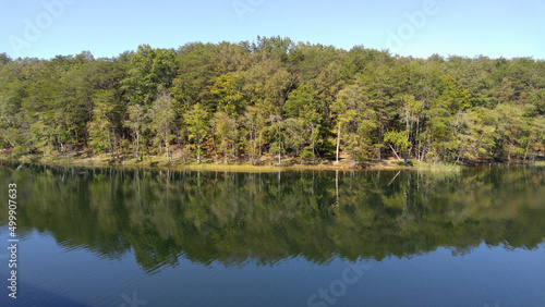 Trees reflected in a lake