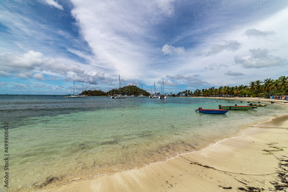 Obraz premium Saint Vincent and the Grenadines, Mayreau, Salt Whistle Bay