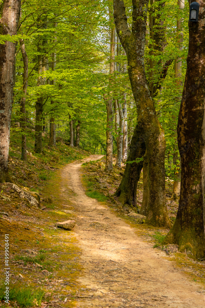Path to a beautiful dolmen in the Basque country. Errenteria, Gipuzkoa