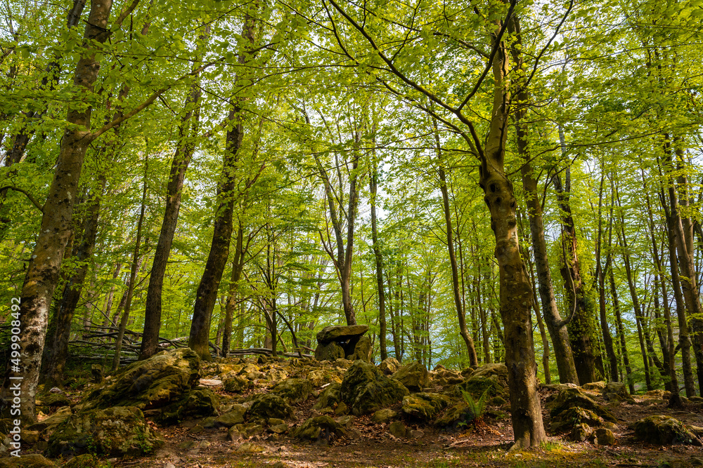 Obraz premium Beautiful dolmen under one of the trees in the Basque country. Errenteria, Gipuzkoa