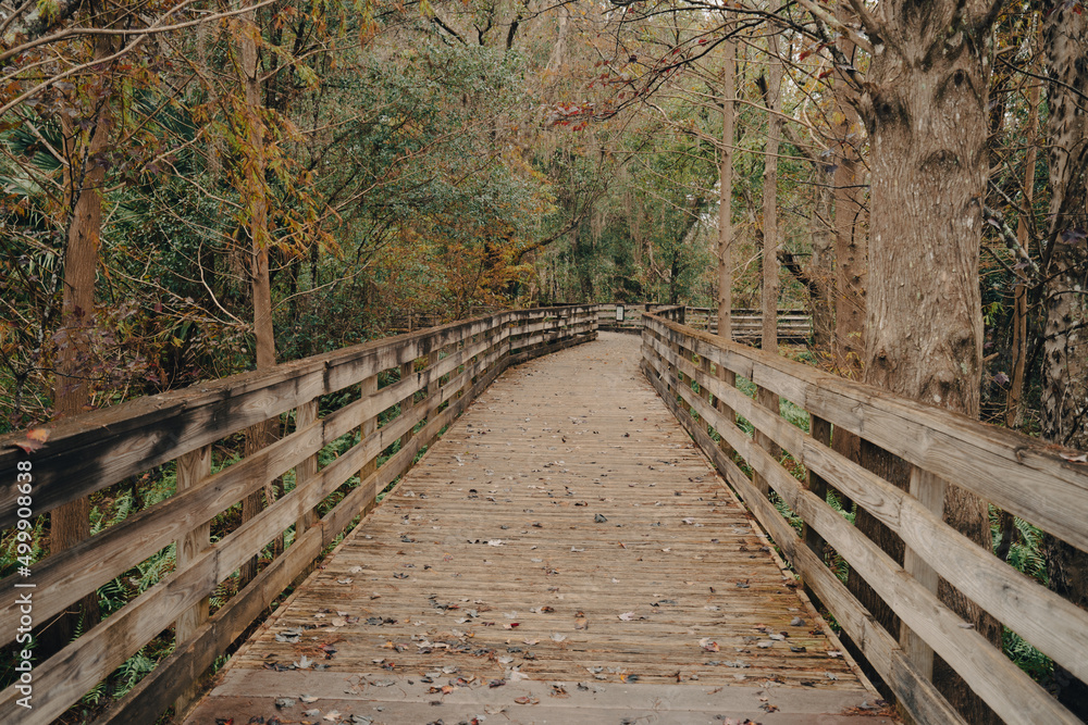 Boardwalk at Lake Lotus nature park in Altamonte Springs, Florida Boardwalk at Lake Lotus nature park in Altamonte Springs, Florida