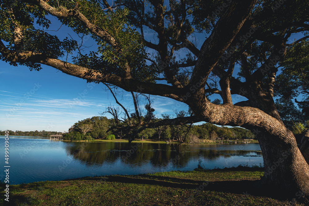Φωτογραφία Community park on Lake Sybelia in Maitland a suburb of Orlando Florida