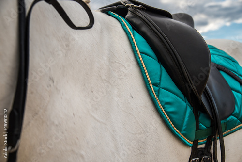 Saddle and saddlecloth photo