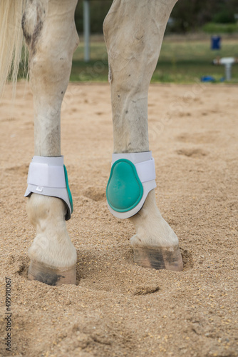 Horse brush boots