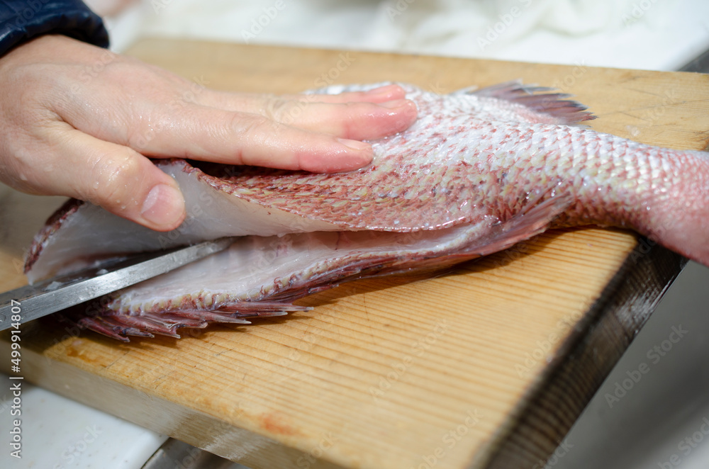 さばくのが難しい魚 | 魚 さばき方 基本 – RFFLMC