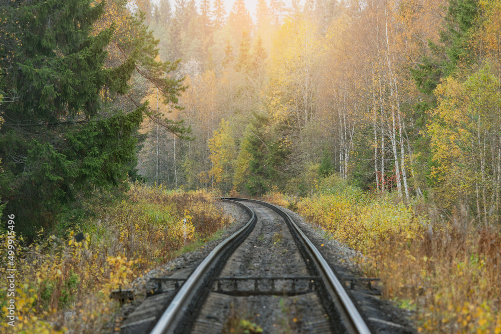 Fototapeta premium Long railway line in the forest at autumn day.