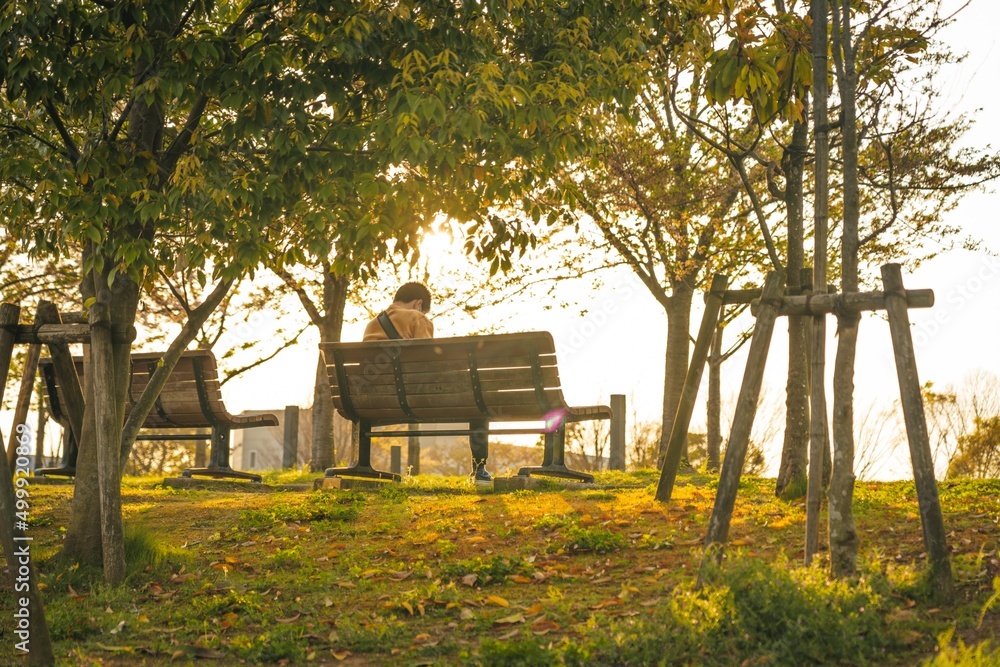 Naklejka premium Man sitting on the bench in the park at sunset