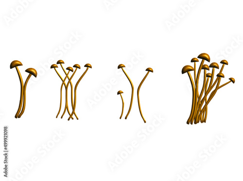Mushroom champignon porcini hippie slogan chanterelle poisonous psilocybin amanita dooble flora botany icon character cartoon natural vegetarian forest wild gourmet healthy food cooking eat diet
