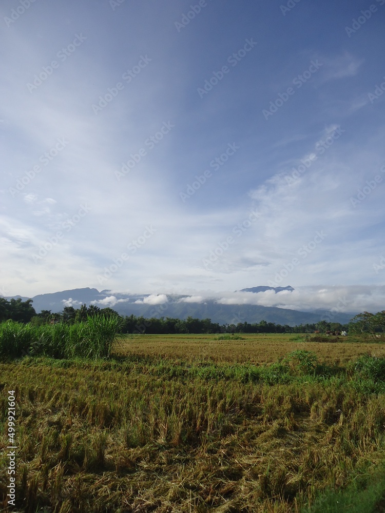 clouds over the field