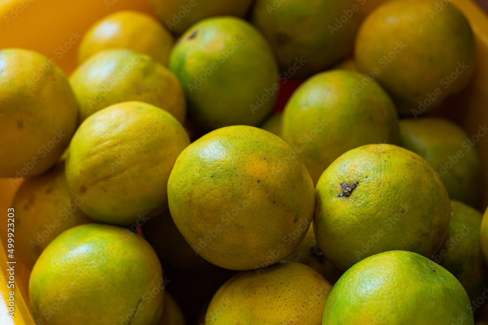 close up of many tropical and fresh oranges