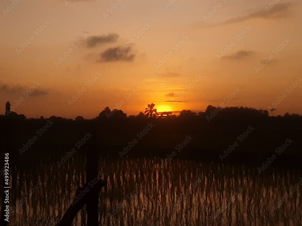 Obraz premium sunset over the river