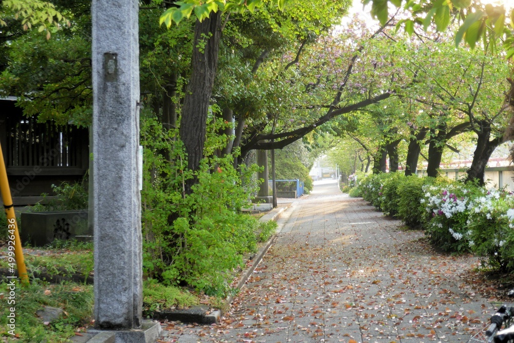 目黒川沿い遊歩道