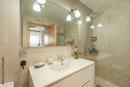 Bathroom with frameless mirror  lamps with glass shades  flower in one corner and shower cabin with glass screen