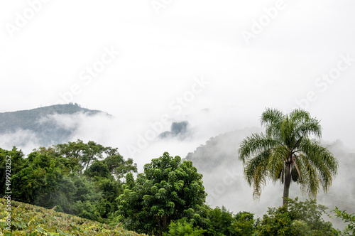 fog over the mountains in caxias do sul , brazil  photo