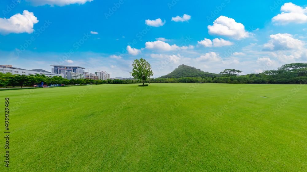 Natural scenery of green grassland at the foot of Malu mountain in Liuzhou, China Natural scenery of green grassland at the foot of Malu mountain in Liuzhou, China