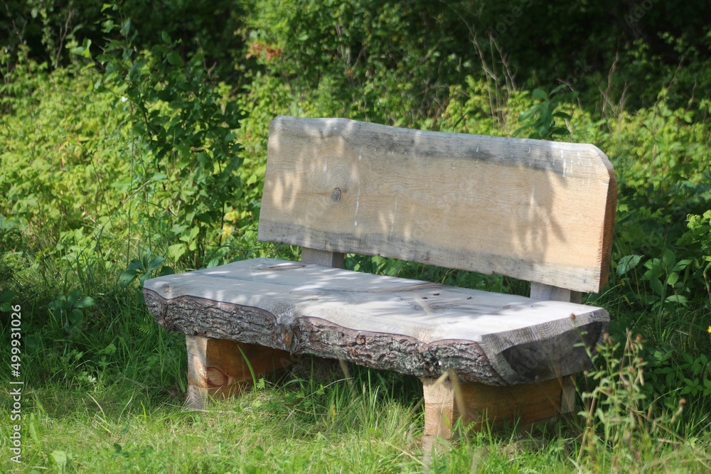 Empty trail bench made from logs of tree trunk Empty trail bench made from logs of tree trunk