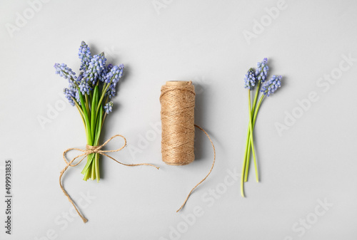 Beautiful Muscari flowers a...