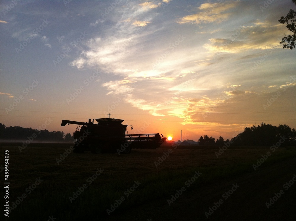 Combine Harvester on field Combine Harvester on field