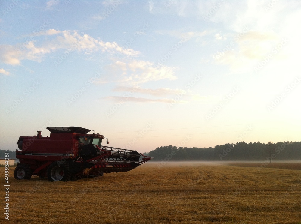 Fototapeta premium combine harvester on field