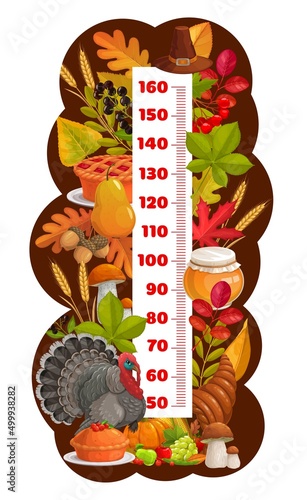 Kids height chart meter with Thanksgiving turkey, autumn harvest and cornucopia, vector growth meter. Child tall scale and height chart with Thanksgiving holiday apple pie, honey and leaves