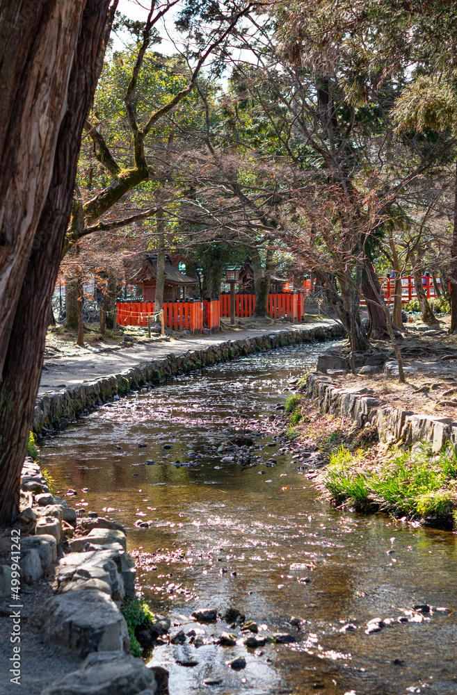 Fototapeta premium shrines in kyoto city.