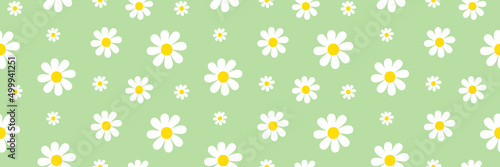 Wide horizontal vector seamless pattern background with white flowers, daisy flowers for nature, floral design.  © cosmic_pony