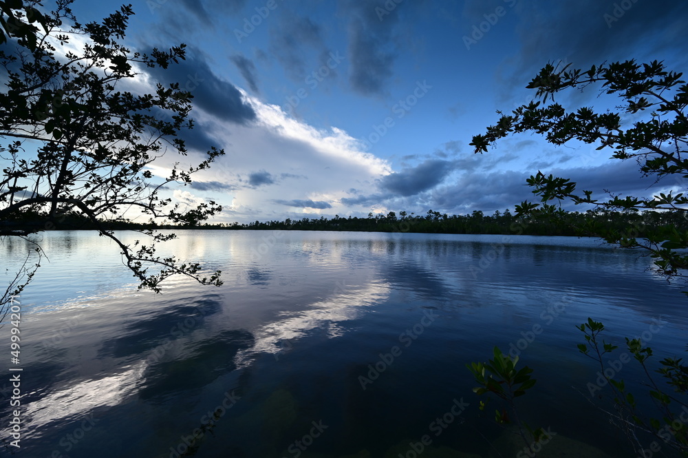 Obraz premium Beautiful late afternoon cloudscape over Pine Glades Lake in Everglades National Park, Florida reflected in lake's calm water.
