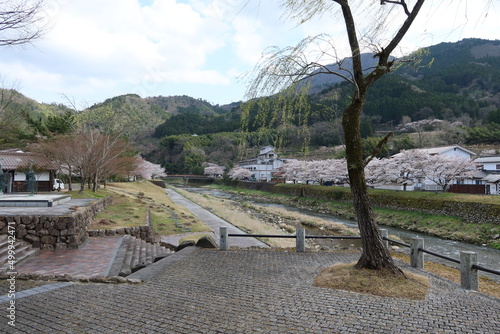 : A scenery of rural areas in Japan : Tsuwano-gawa River at Tsuwano-machi Town in Kanoashi-gun County in Shimane Prefecture 日本の田舎の一風景：島根県鹿足郡の津和野町の津和野川 photo