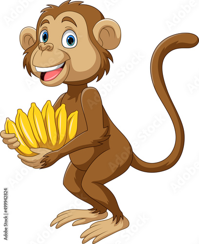 Photography Cartoon little monkey holding banana