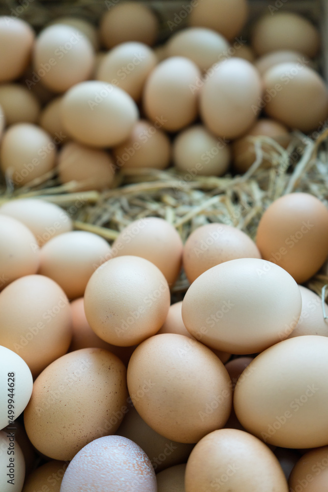 Group of brown chicken eggs on hay, Organic farm natural product for sale. Healthy eggs. Group of brown chicken eggs on hay, Organic farm natural product for sale. Healthy eggs.