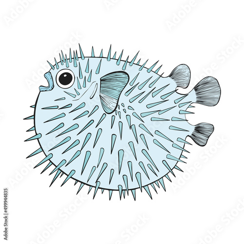 Hand drawn Reef Tropical Fishes. Sea and Ocean Animals Vector Clip art.
