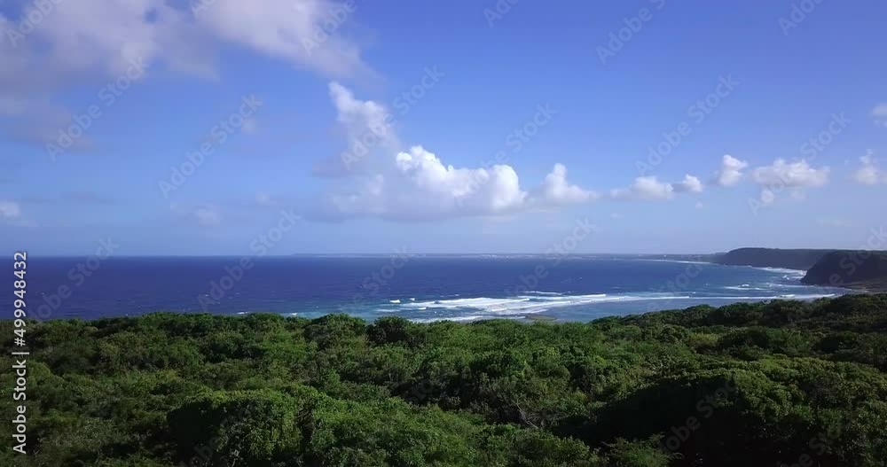 Aerial, flying over tree tops. View of the Caribbean sea. Waves in the shoreline. Sea cliffs in the distance. Aerial, flying over tree tops. View of the Caribbean sea. Waves in the shoreline. Sea cliffs in the distance.
