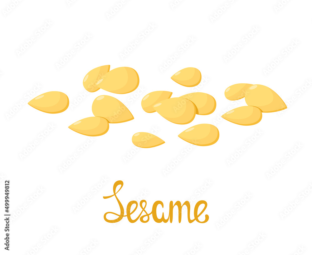 Sesame seeds on a white background. Cartoon design. Spice.
Sesame seeds on a white background. Cartoon design. Spice.