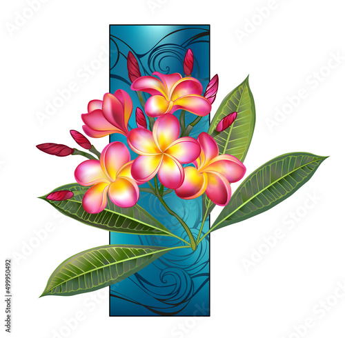Pink plumeria branch with rectangle