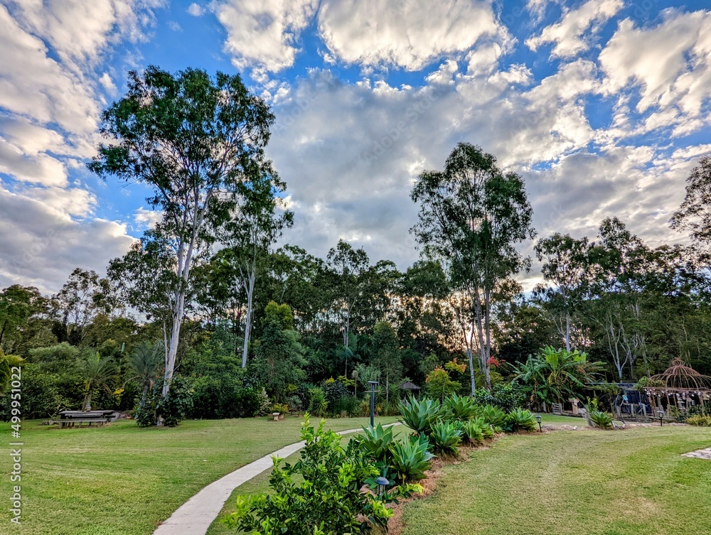 Naklejka premium garden with flowers