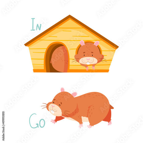 Cute hamster demonstrating English preposition of place and verb. Educational material for kids cartoon vector illustration photo